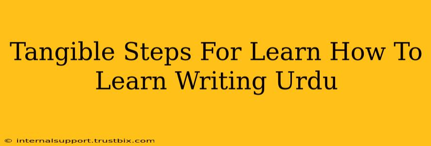 Tangible Steps For Learn How To Learn Writing Urdu