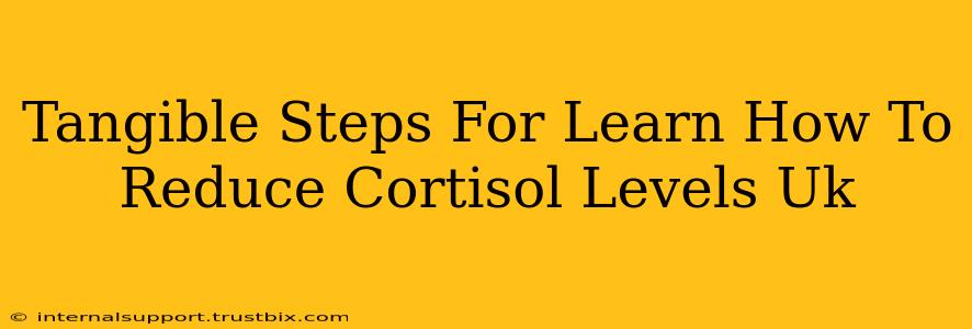 Tangible Steps For Learn How To Reduce Cortisol Levels Uk