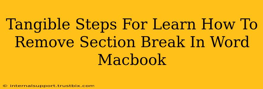 Tangible Steps For Learn How To Remove Section Break In Word Macbook