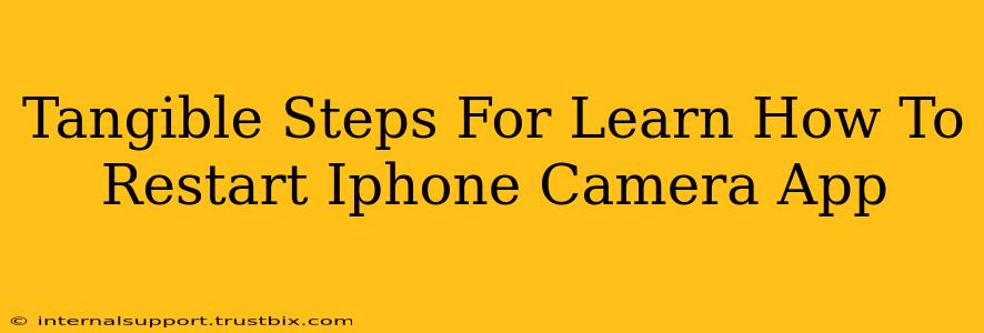 Tangible Steps For Learn How To Restart Iphone Camera App