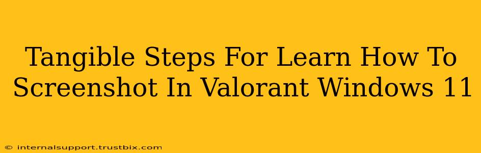 Tangible Steps For Learn How To Screenshot In Valorant Windows 11