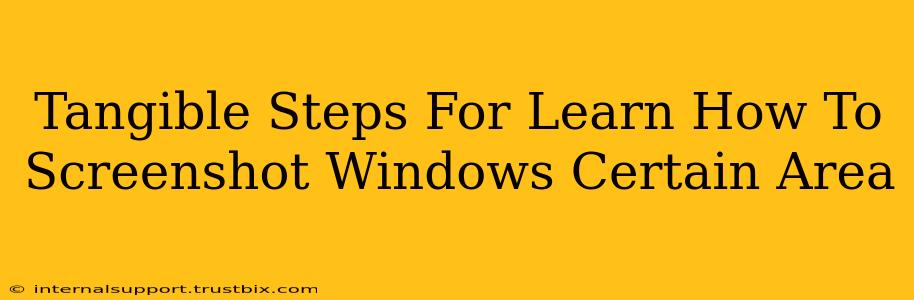 Tangible Steps For Learn How To Screenshot Windows Certain Area