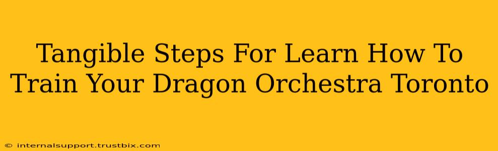 Tangible Steps For Learn How To Train Your Dragon Orchestra Toronto