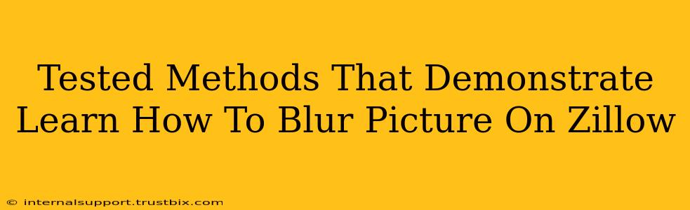 Tested Methods That Demonstrate Learn How To Blur Picture On Zillow