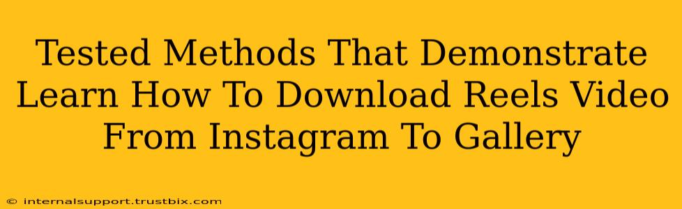 Tested Methods That Demonstrate Learn How To Download Reels Video From Instagram To Gallery