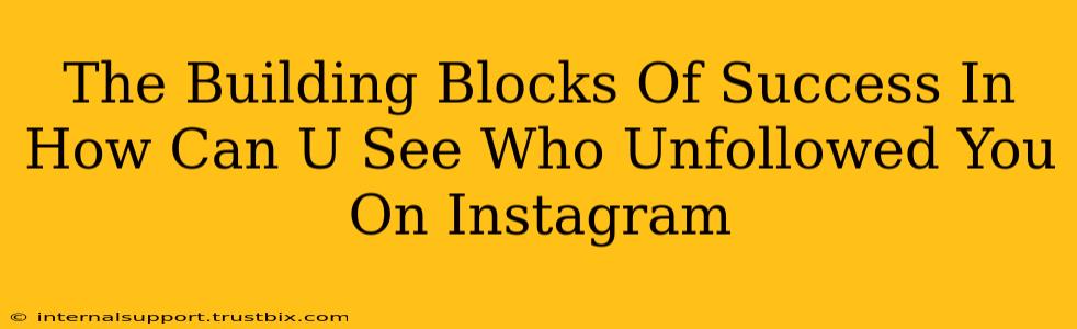 The Building Blocks Of Success In How Can U See Who Unfollowed You On Instagram