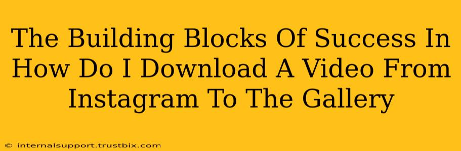 The Building Blocks Of Success In How Do I Download A Video From Instagram To The Gallery