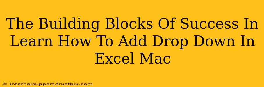 The Building Blocks Of Success In Learn How To Add Drop Down In Excel Mac