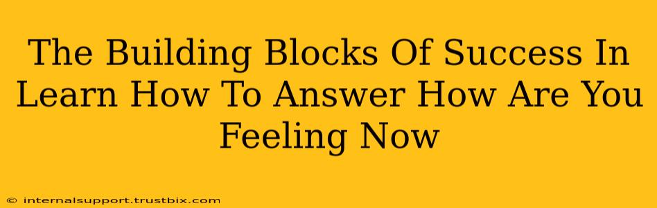 The Building Blocks Of Success In Learn How To Answer How Are You Feeling Now