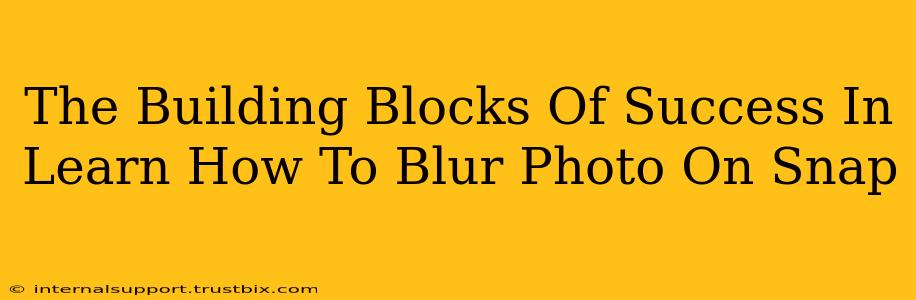 The Building Blocks Of Success In Learn How To Blur Photo On Snap