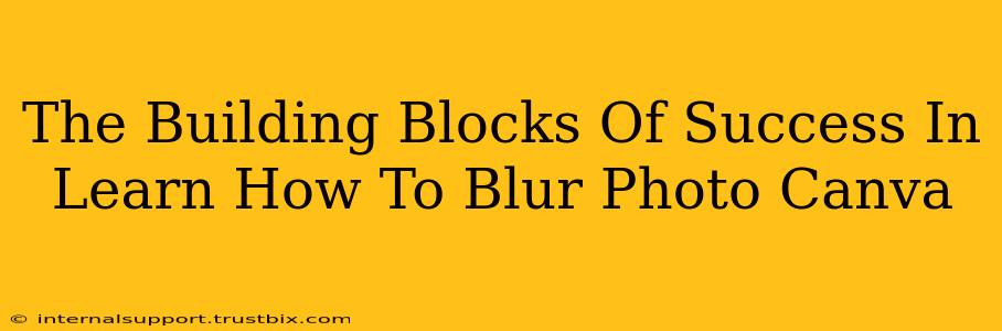 The Building Blocks Of Success In Learn How To Blur Photo Canva