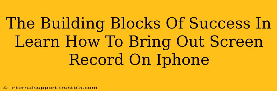 The Building Blocks Of Success In Learn How To Bring Out Screen Record On Iphone