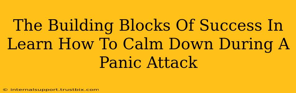 The Building Blocks Of Success In Learn How To Calm Down During A Panic Attack