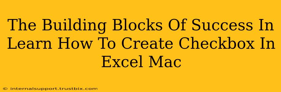 The Building Blocks Of Success In Learn How To Create Checkbox In Excel Mac