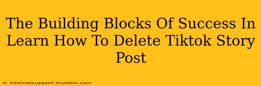 The Building Blocks Of Success In Learn How To Delete Tiktok Story Post