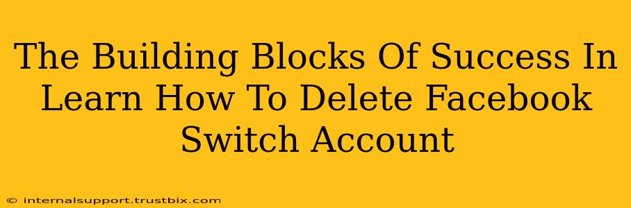 The Building Blocks Of Success In Learn How To Delete Facebook Switch Account