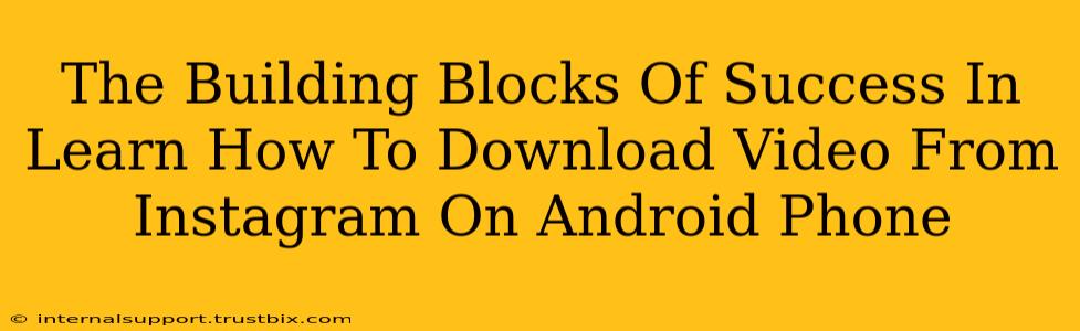 The Building Blocks Of Success In Learn How To Download Video From Instagram On Android Phone