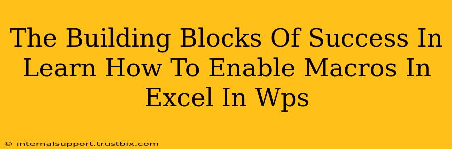 The Building Blocks Of Success In Learn How To Enable Macros In Excel In Wps