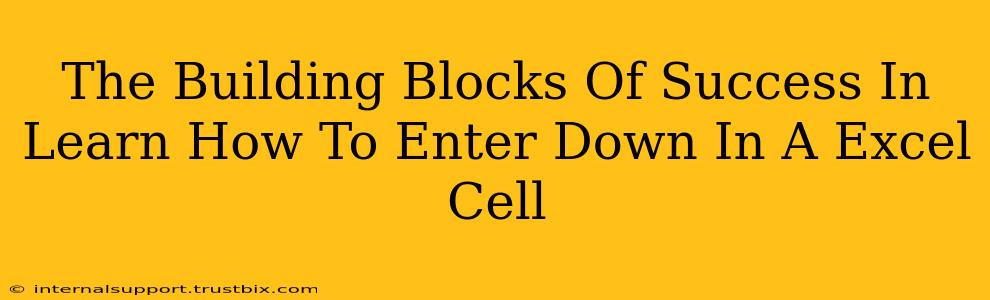 The Building Blocks Of Success In Learn How To Enter Down In A Excel Cell