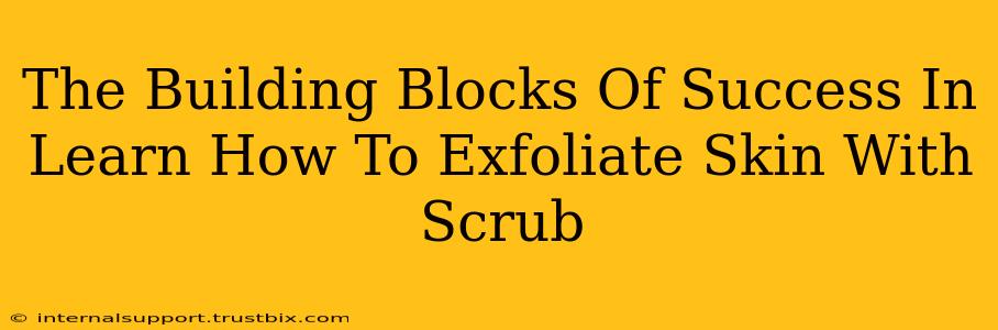 The Building Blocks Of Success In Learn How To Exfoliate Skin With Scrub