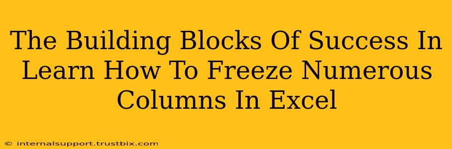 The Building Blocks Of Success In Learn How To Freeze Numerous Columns In Excel