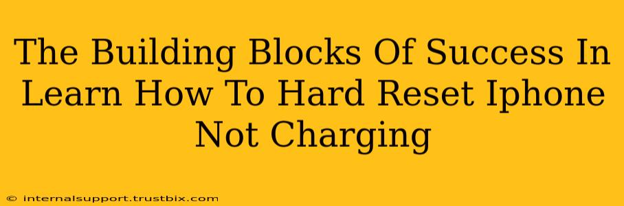 The Building Blocks Of Success In Learn How To Hard Reset Iphone Not Charging