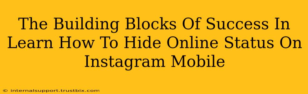 The Building Blocks Of Success In Learn How To Hide Online Status On Instagram Mobile