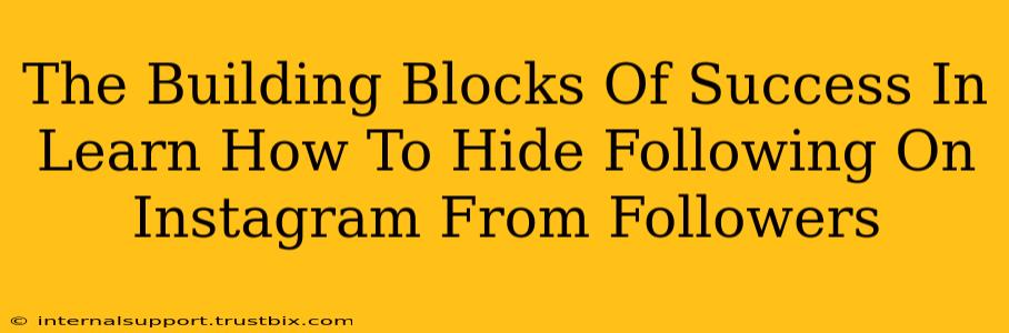 The Building Blocks Of Success In Learn How To Hide Following On Instagram From Followers