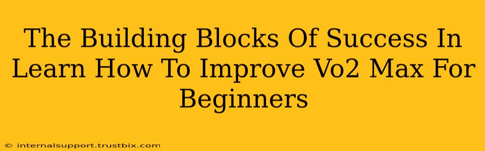 The Building Blocks Of Success In Learn How To Improve Vo2 Max For Beginners