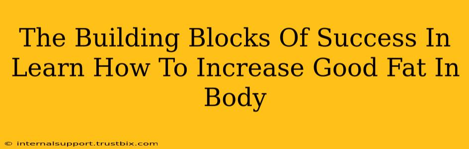 The Building Blocks Of Success In Learn How To Increase Good Fat In Body