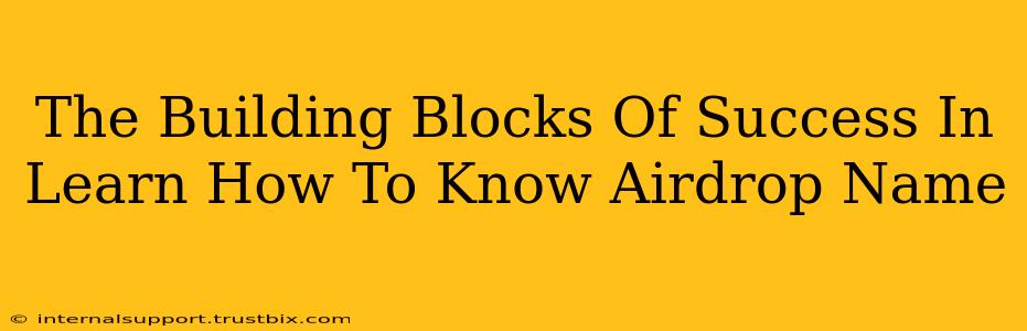 The Building Blocks Of Success In Learn How To Know Airdrop Name