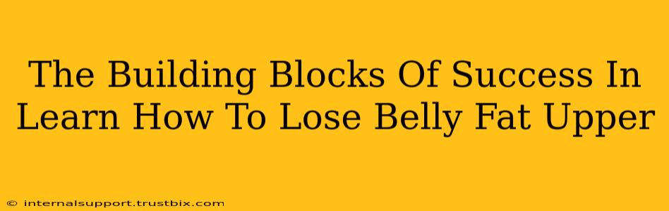 The Building Blocks Of Success In Learn How To Lose Belly Fat Upper