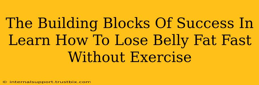 The Building Blocks Of Success In Learn How To Lose Belly Fat Fast Without Exercise