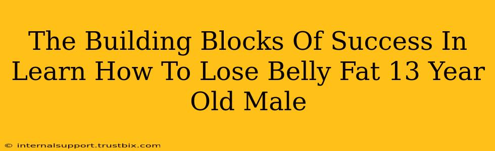 The Building Blocks Of Success In Learn How To Lose Belly Fat 13 Year Old Male