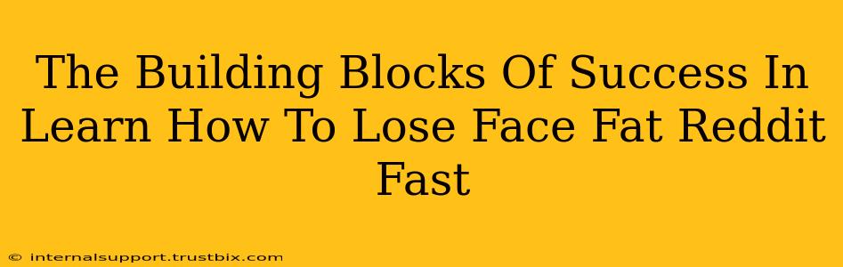 The Building Blocks Of Success In Learn How To Lose Face Fat Reddit Fast