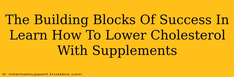 The Building Blocks Of Success In Learn How To Lower Cholesterol With Supplements