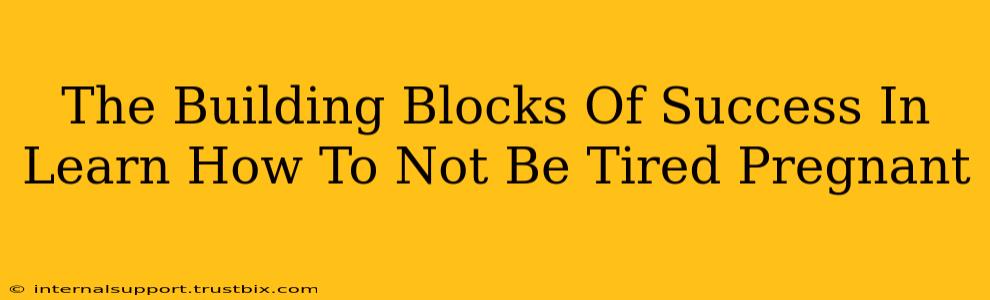 The Building Blocks Of Success In Learn How To Not Be Tired Pregnant