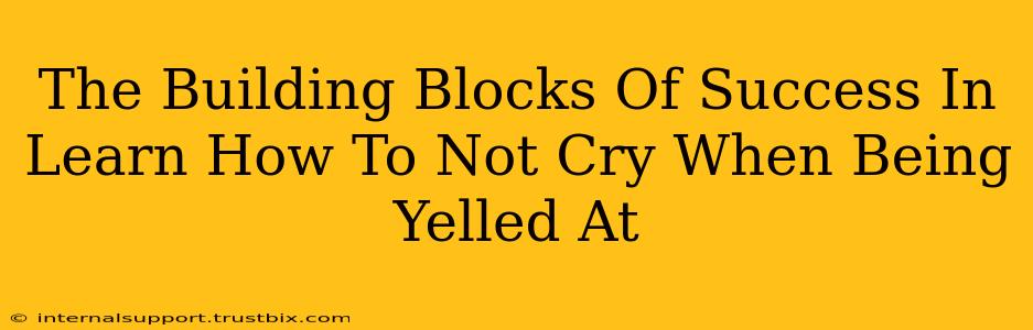 The Building Blocks Of Success In Learn How To Not Cry When Being Yelled At