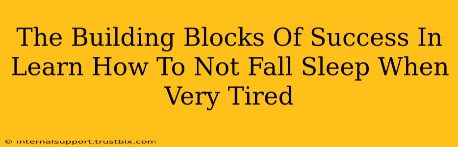 The Building Blocks Of Success In Learn How To Not Fall Sleep When Very Tired