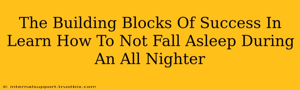 The Building Blocks Of Success In Learn How To Not Fall Asleep During An All Nighter