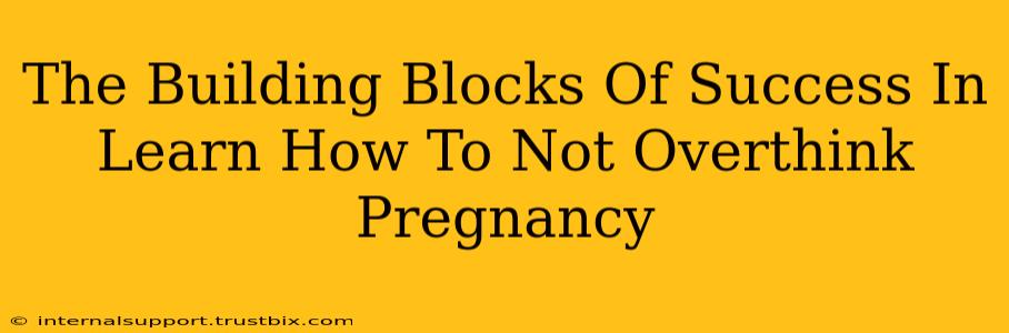 The Building Blocks Of Success In Learn How To Not Overthink Pregnancy