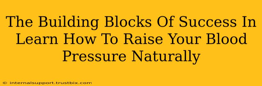 The Building Blocks Of Success In Learn How To Raise Your Blood Pressure Naturally