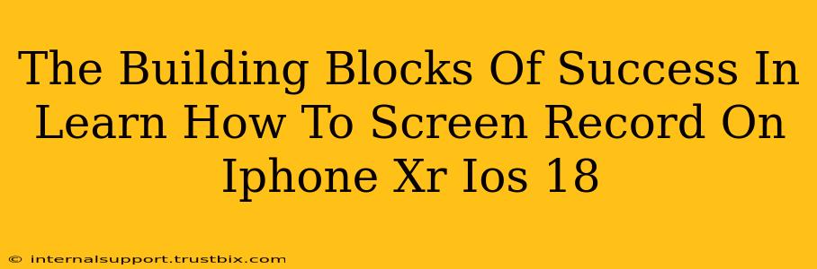 The Building Blocks Of Success In Learn How To Screen Record On Iphone Xr Ios 18