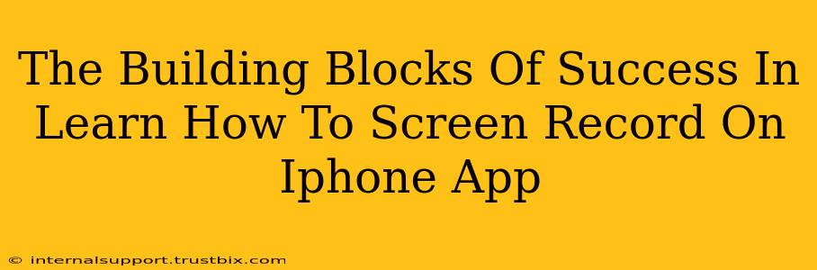 The Building Blocks Of Success In Learn How To Screen Record On Iphone App