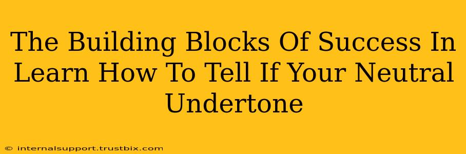 The Building Blocks Of Success In Learn How To Tell If Your Neutral Undertone