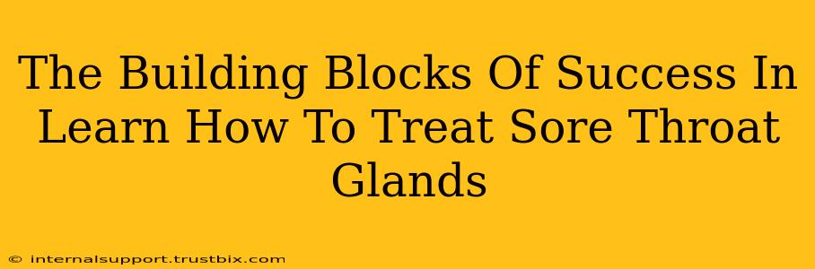 The Building Blocks Of Success In Learn How To Treat Sore Throat Glands