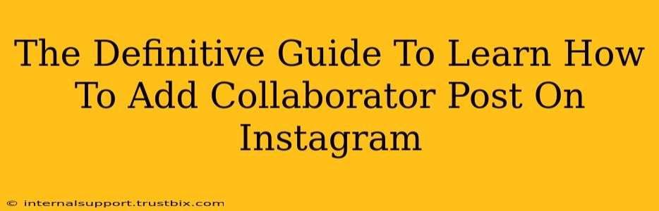 The Definitive Guide To Learn How To Add Collaborator Post On Instagram