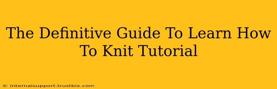 The Definitive Guide To Learn How To Knit Tutorial