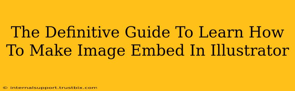 The Definitive Guide To Learn How To Make Image Embed In Illustrator