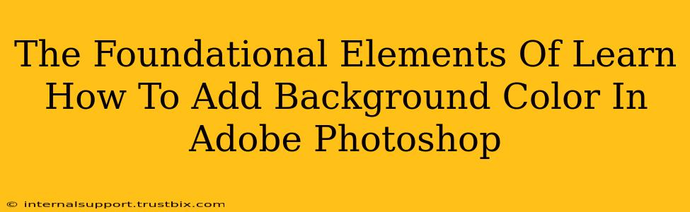 The Foundational Elements Of Learn How To Add Background Color In Adobe Photoshop